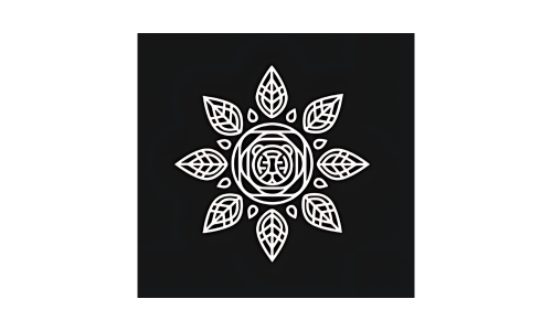 Best SEO Agency in Bondi Junction